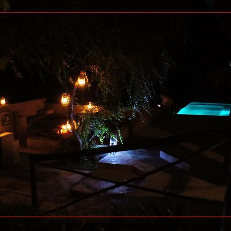 Dream Of Africa Bush Lodge 玛洛斯帕克 外观 照片
