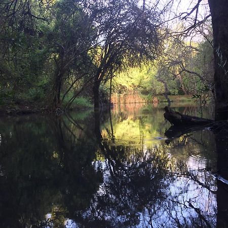 Dream Of Africa Bush Lodge 玛洛斯帕克 外观 照片