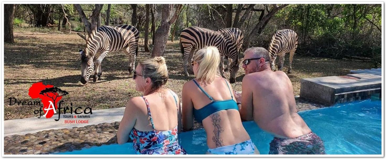 Dream Of Africa Bush Lodge 玛洛斯帕克 外观 照片