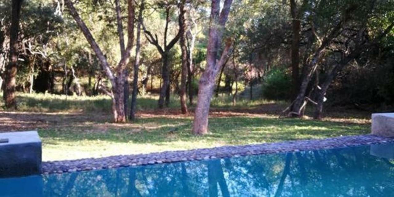 Dream Of Africa Bush Lodge 玛洛斯帕克 外观 照片
