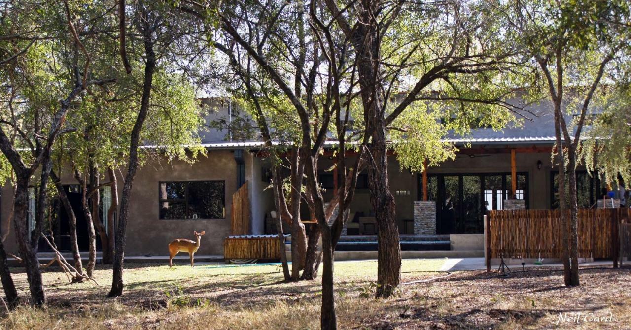 Dream Of Africa Bush Lodge 玛洛斯帕克 外观 照片